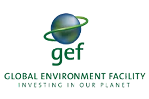 GEF-2